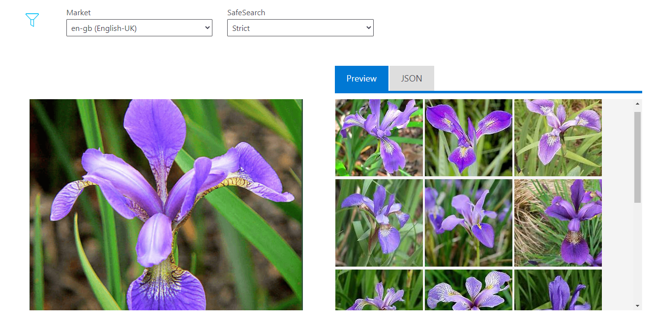 Cognitive Services: Bing Visual Search